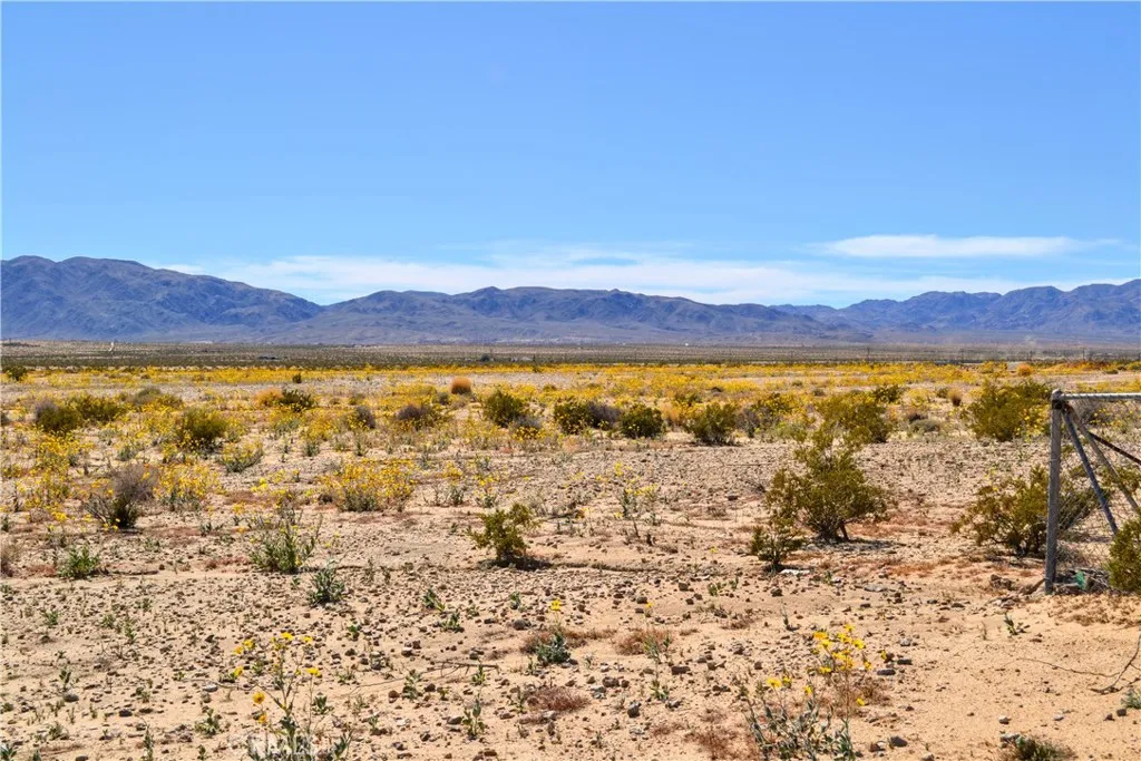 4040 Peter Rabbit, Twentynine Palms, California 92277 home-pic-19