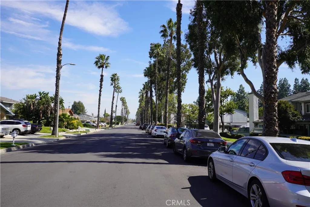 Beautiful Palm Trees Lining East 5th Street