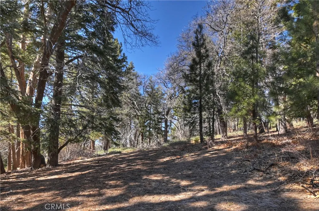 From Back Of Property