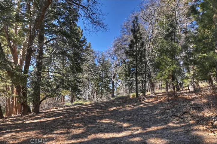 From Back Of Property