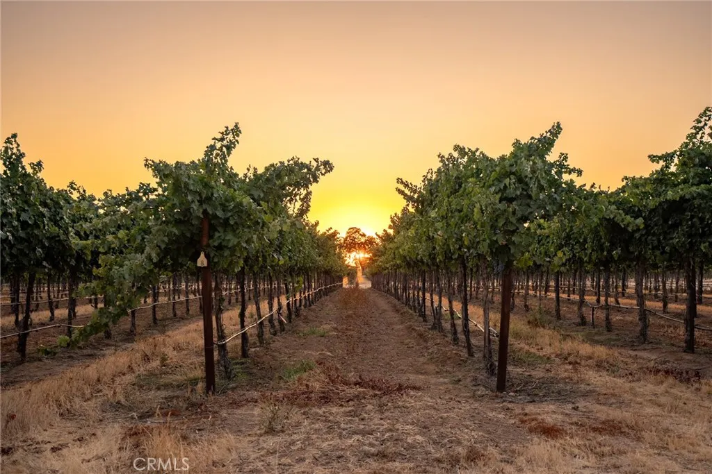 7010 Wilderness Lane, Paso Robles, California 93446 home-pic-66