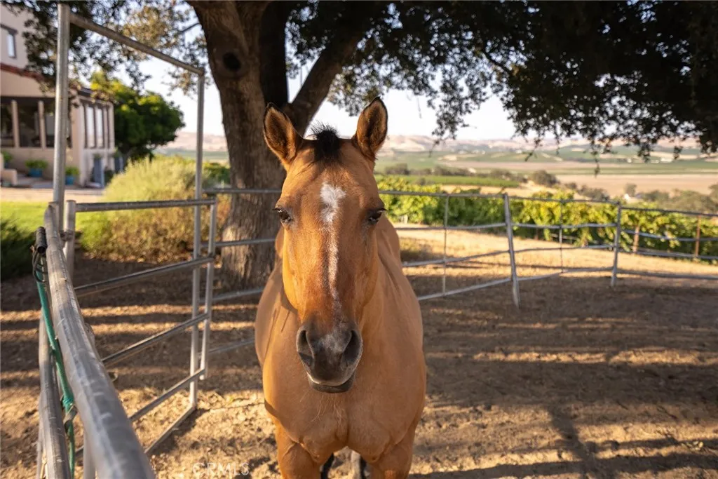 7010 Wilderness Lane, Paso Robles, California 93446 home-pic-41