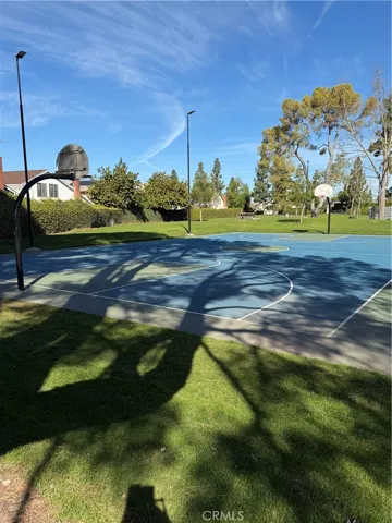 Basketball Court