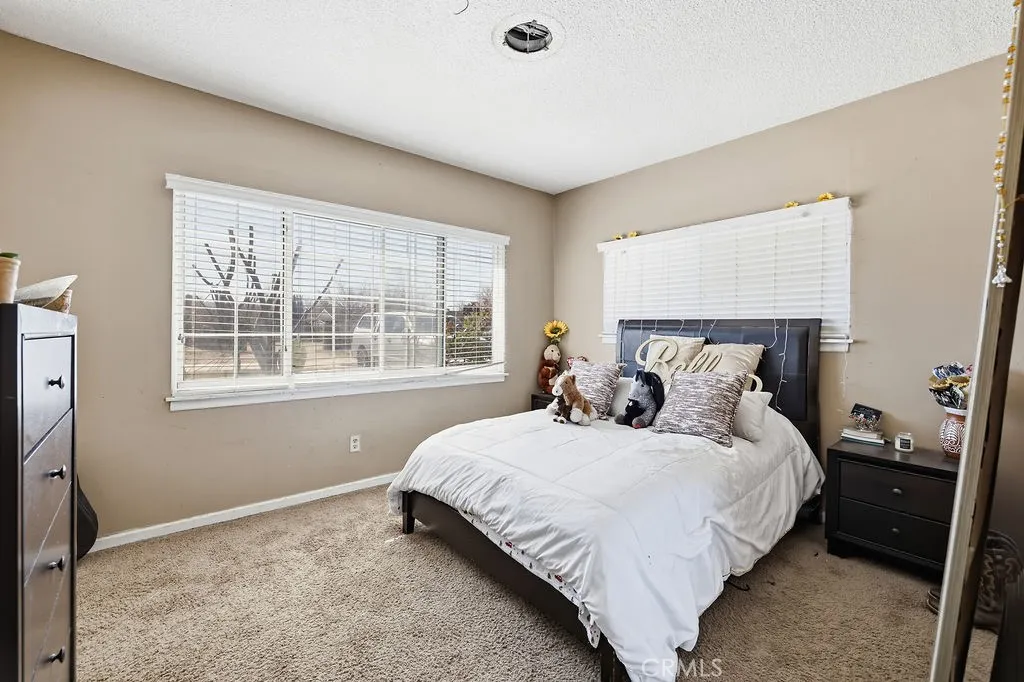 10231 E Avenue R2, Littlerock, California 93543 home-pic-8