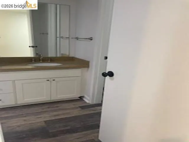 Bathroom featuring vanity and dark wood-type flooring