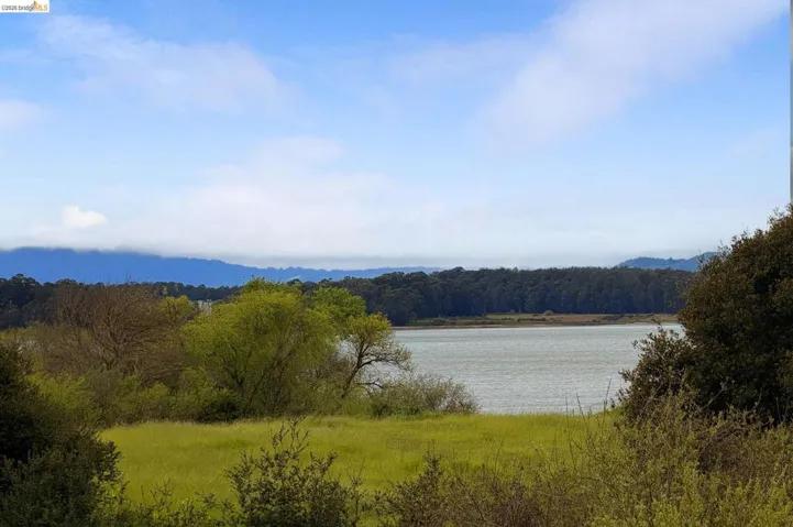 Water view with a forest