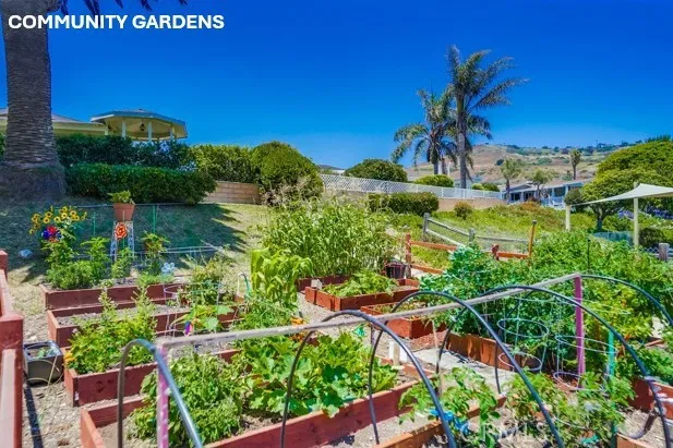 2275 W 25th Street 166, San Pedro, California 90732
