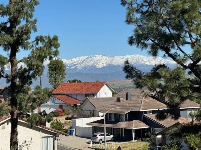 17712 Nearbank Drive, Rowland Heights, California 91748 home-pic-41