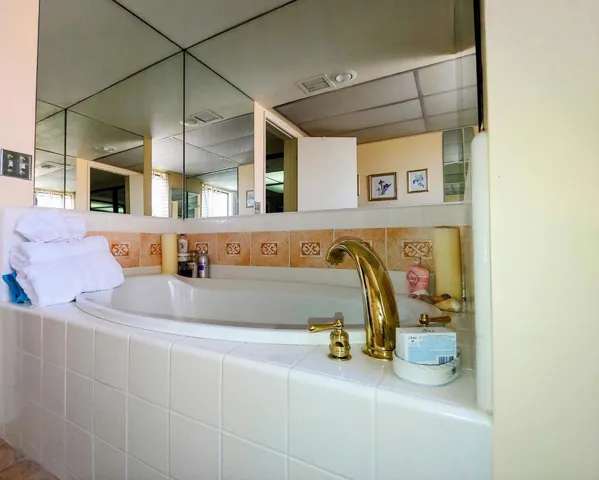 Primary Bath Tub
