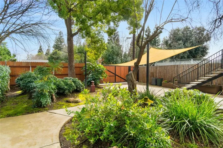 Back house yard
