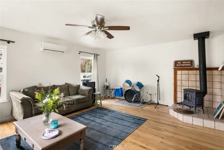 Front house - fireplace and mini split