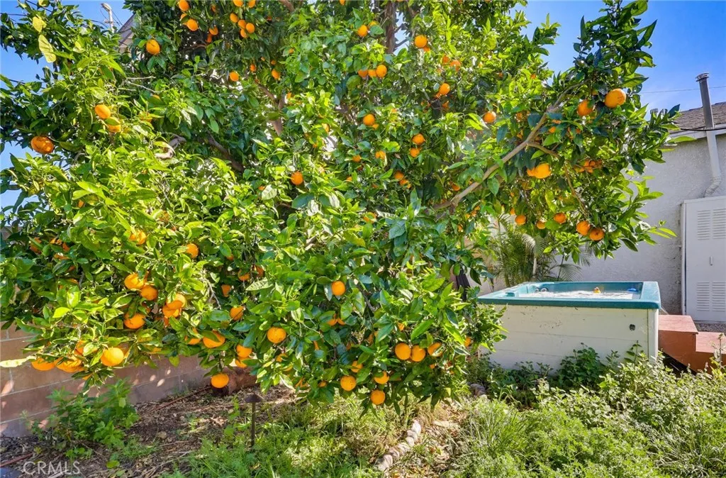 3237 W 133rd, Hawthorne, California 90250 home-pic-36