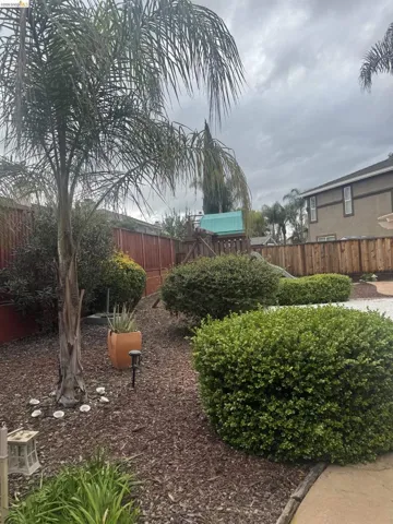 View of fenced backyard