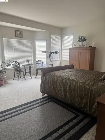 Carpeted bedroom featuring multiple windows