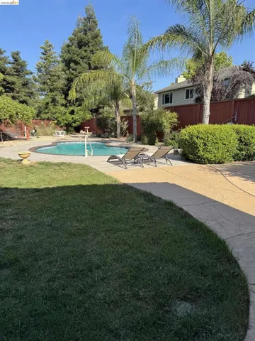 Expansive backyard featuring a freeform swimming pool, surrounding stamped concrete patio, mature palm trees, and a manicured lawn area