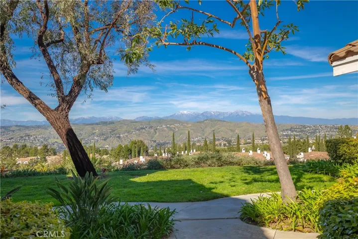 Fantastic Green Belt and Views!