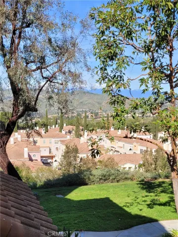 Views out Your Dining!