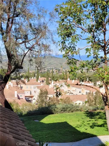 Views out Your Dining!