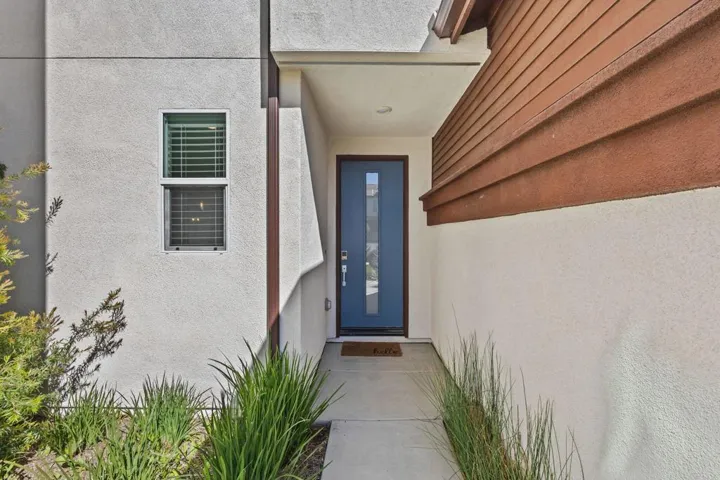 RaeAllenMedia Sonieta Ct-3