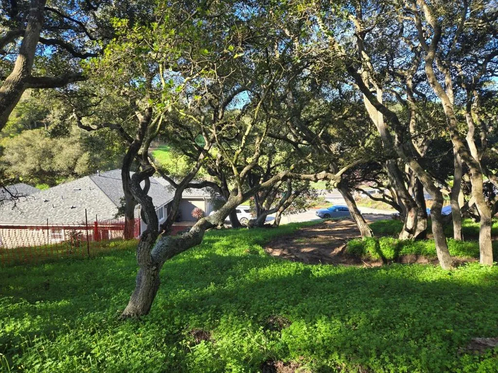 0 Paradise Road, Salinas, California 93907 — photo 4