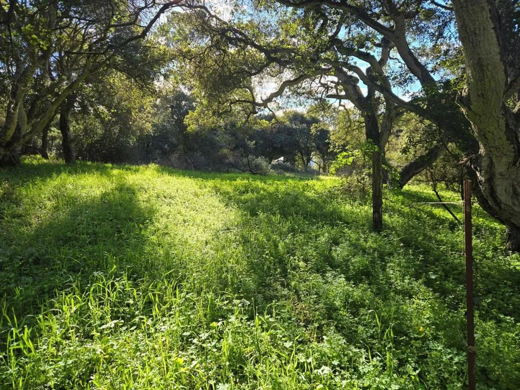 0 Paradise Road, Salinas, California 93907 — photo 5