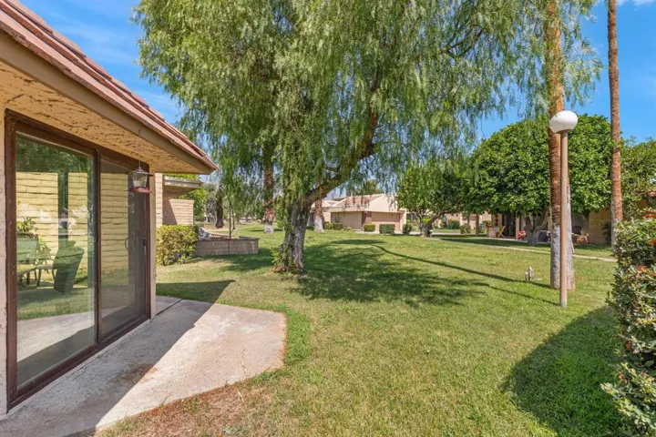 8-web-or-mls-8M4A6621