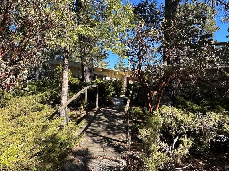 25630 Sunrise Drive, Idyllwild, California 92549 home-pic-3
