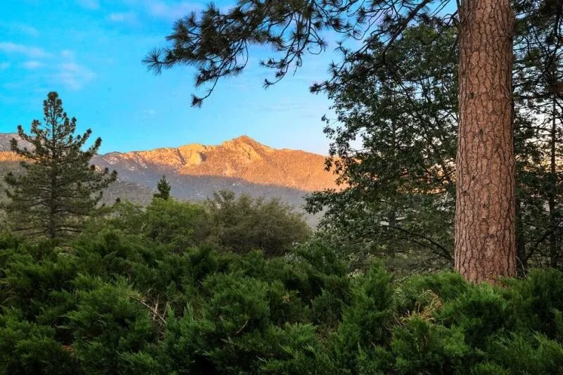 25630 Sunrise Drive, Idyllwild, California 92549 home-pic-39