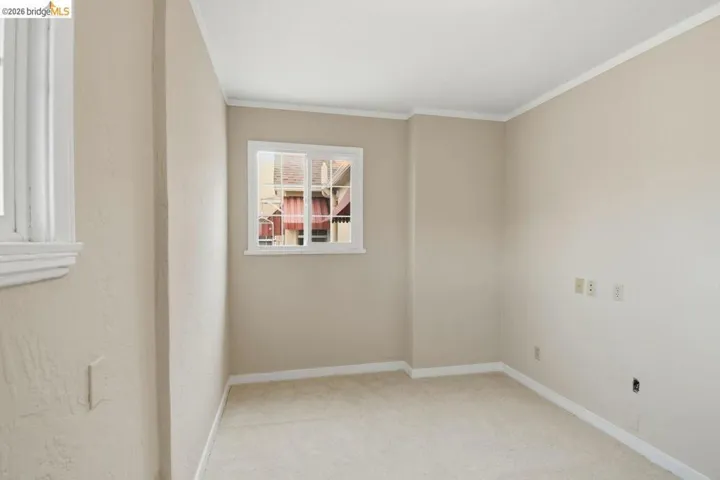 spare room with ornamental molding and carpet floors