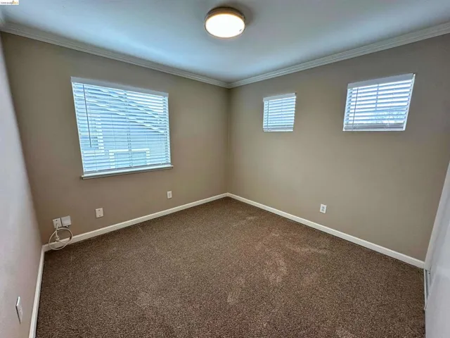 Carpeted empty room featuring baseboards and ornamental molding
