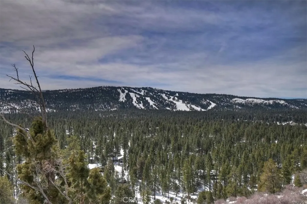 42545 Pegasus, Big Bear Lake, California 92315 home-pic-53