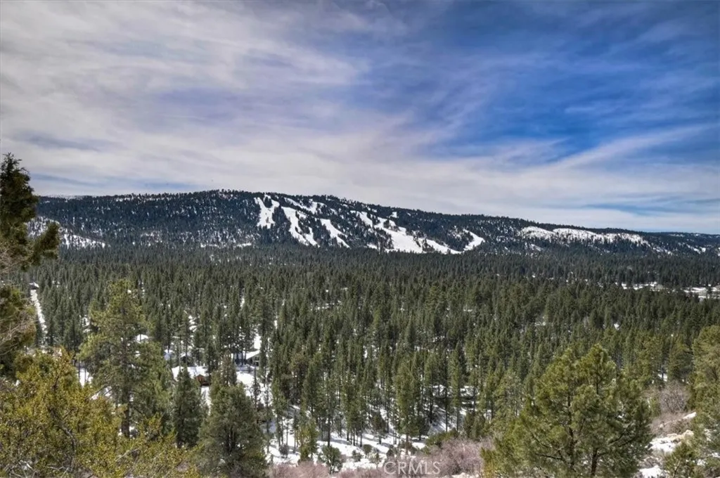 42545 Pegasus, Big Bear Lake, California 92315 home-pic-61