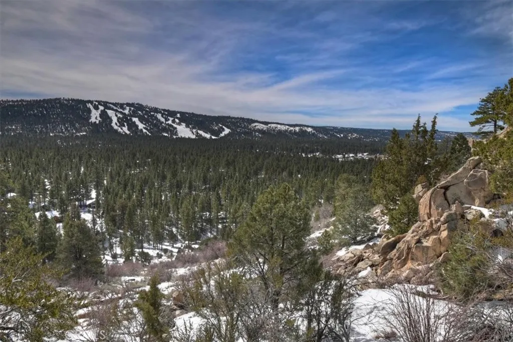 42545 Pegasus, Big Bear Lake, California 92315 home-pic-60