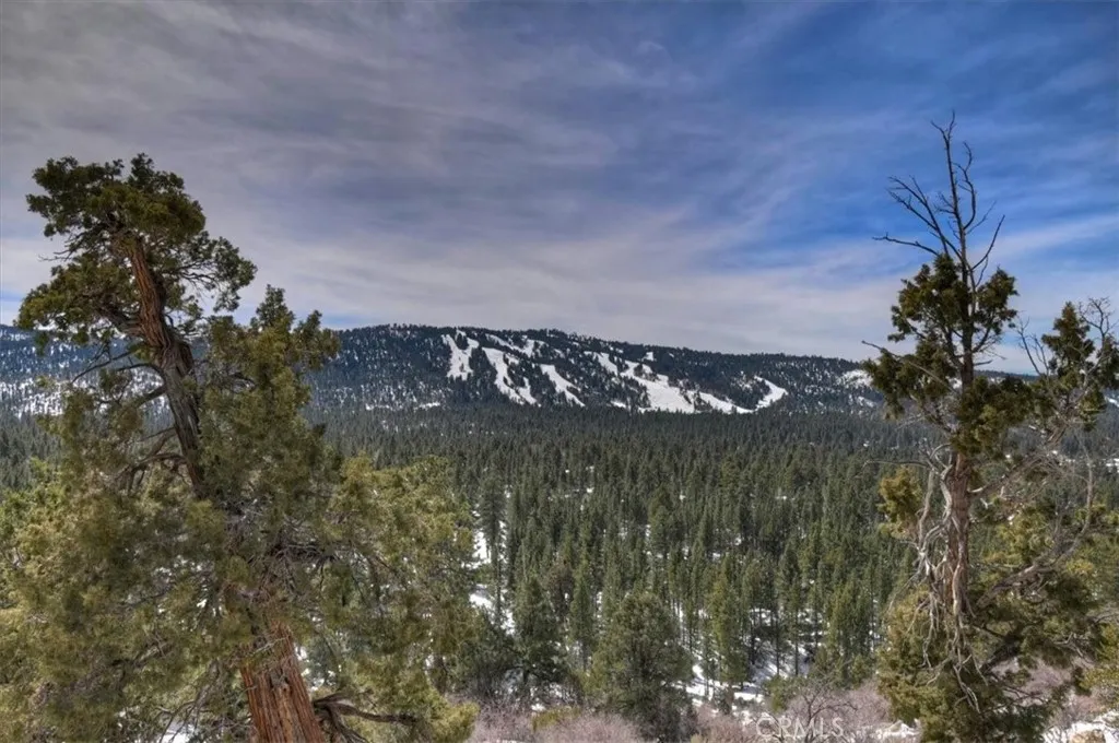 42545 Pegasus, Big Bear Lake, California 92315 home-pic-56