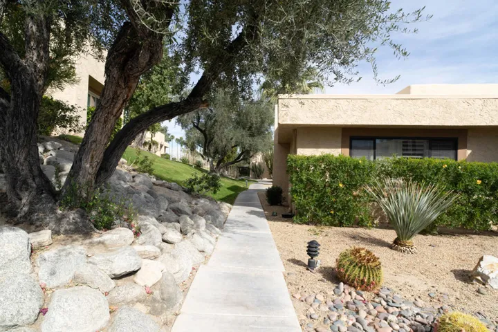 47685 Desert Sage-17