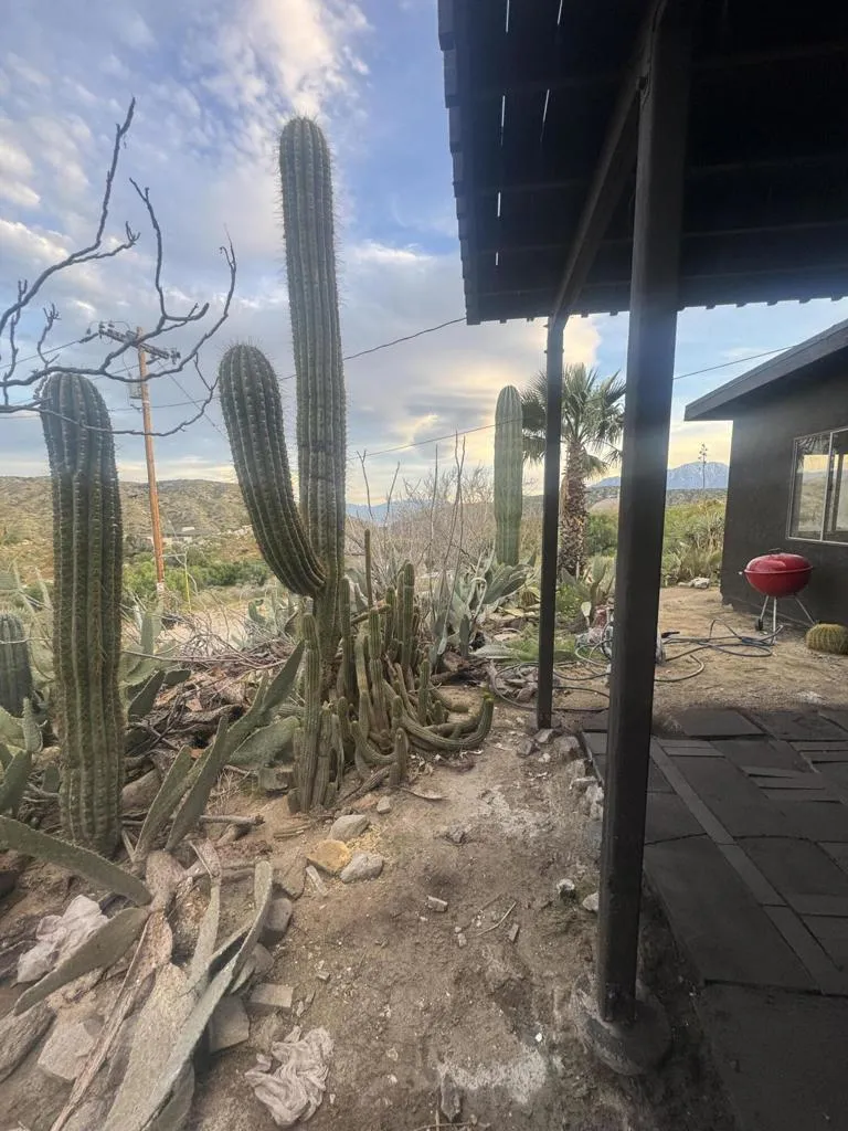 49075 Matzene Drive, Morongo Valley, California 92256 home-pic-10
