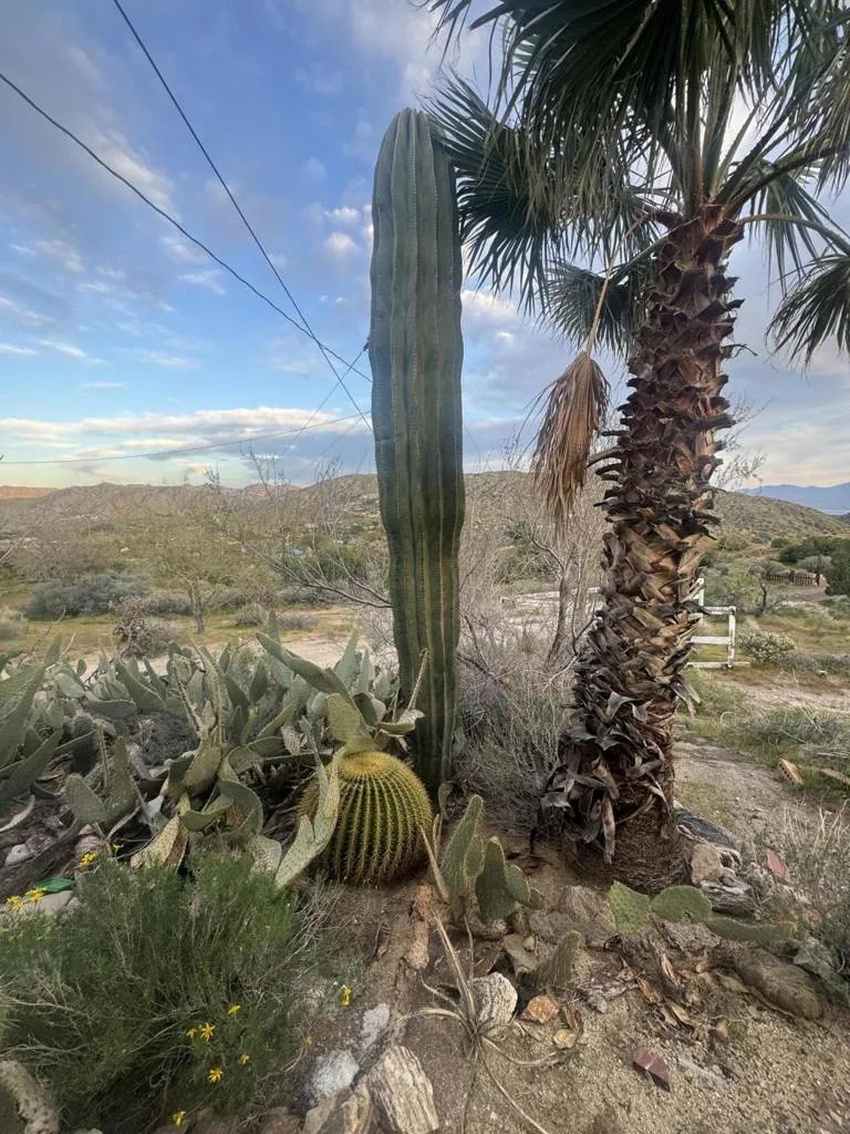 49075 Matzene Drive, Morongo Valley, California 92256 home-pic-21