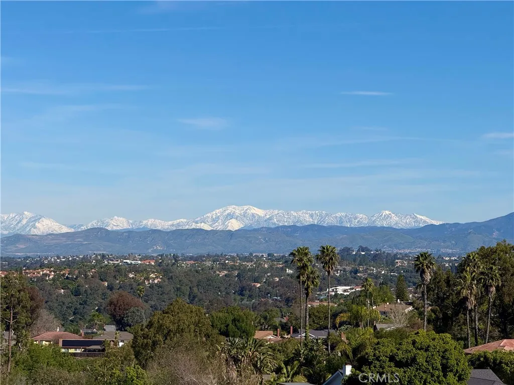View Feb 2026