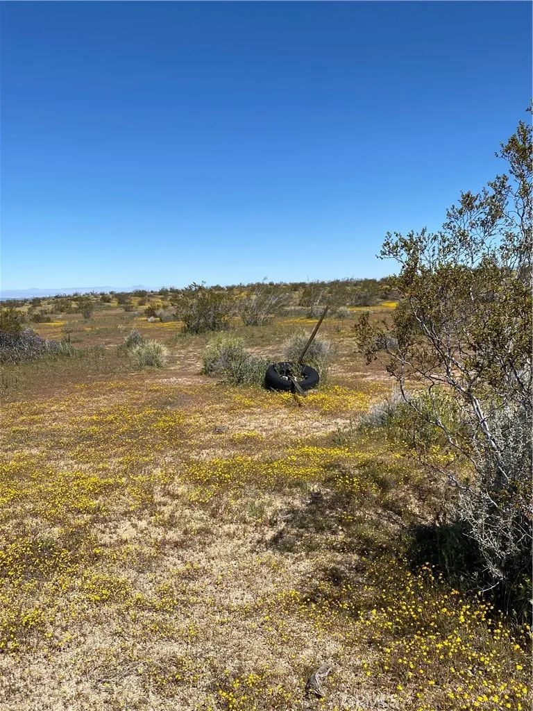 Nearby to the east of the lot