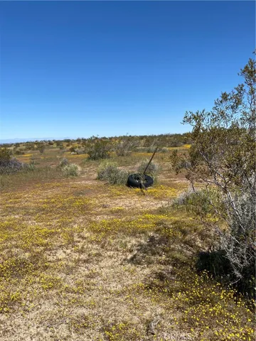 Nearby to the east of the lot