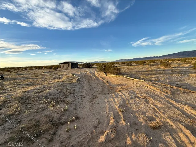 Five acres of Wonder Valley Heaven