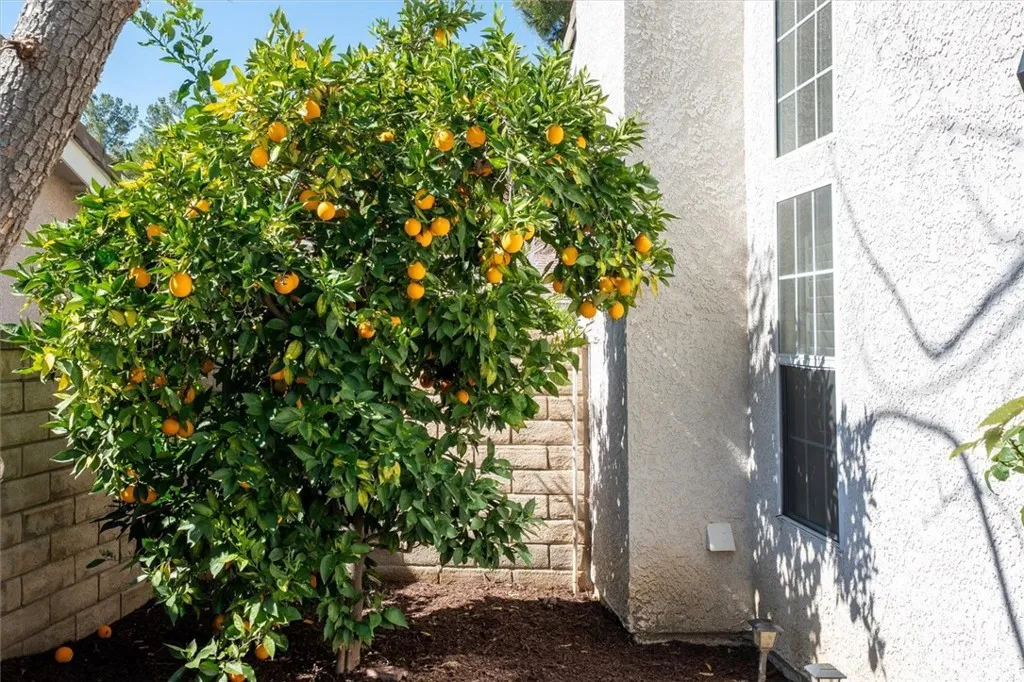 27142 Sanford, Valencia, California 91354 home-pic-22