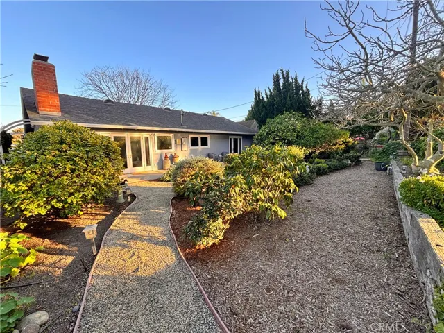 That's the fig tree on the far right