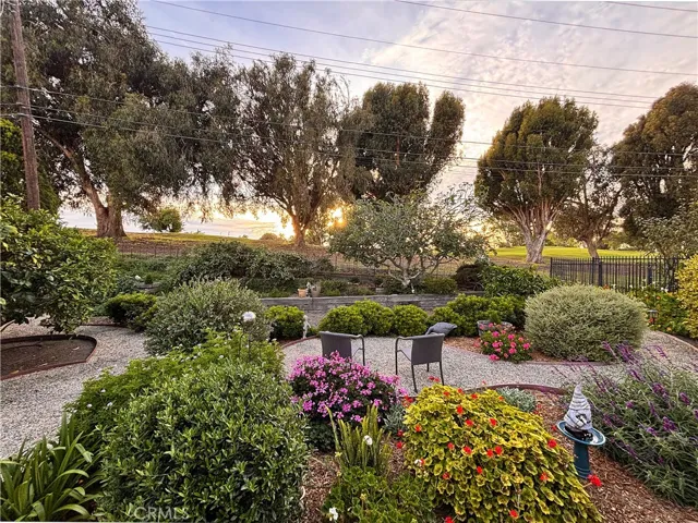Evening time in the backyard is for nature-lovers