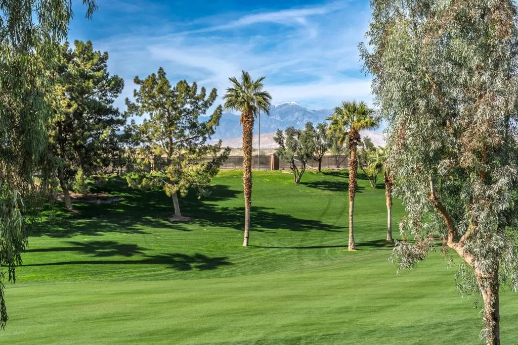 36511 Royal Sage Court, Palm Desert, California 92211 home-pic-28