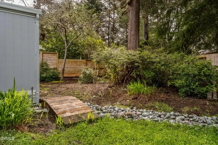 Back Yard with Waterway