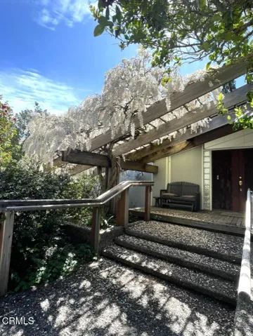 Wisteria In Bloom
