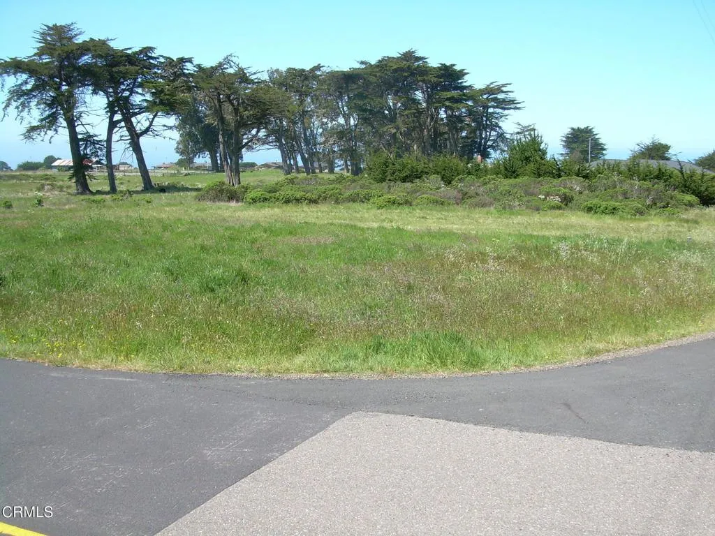 Lower Lot2