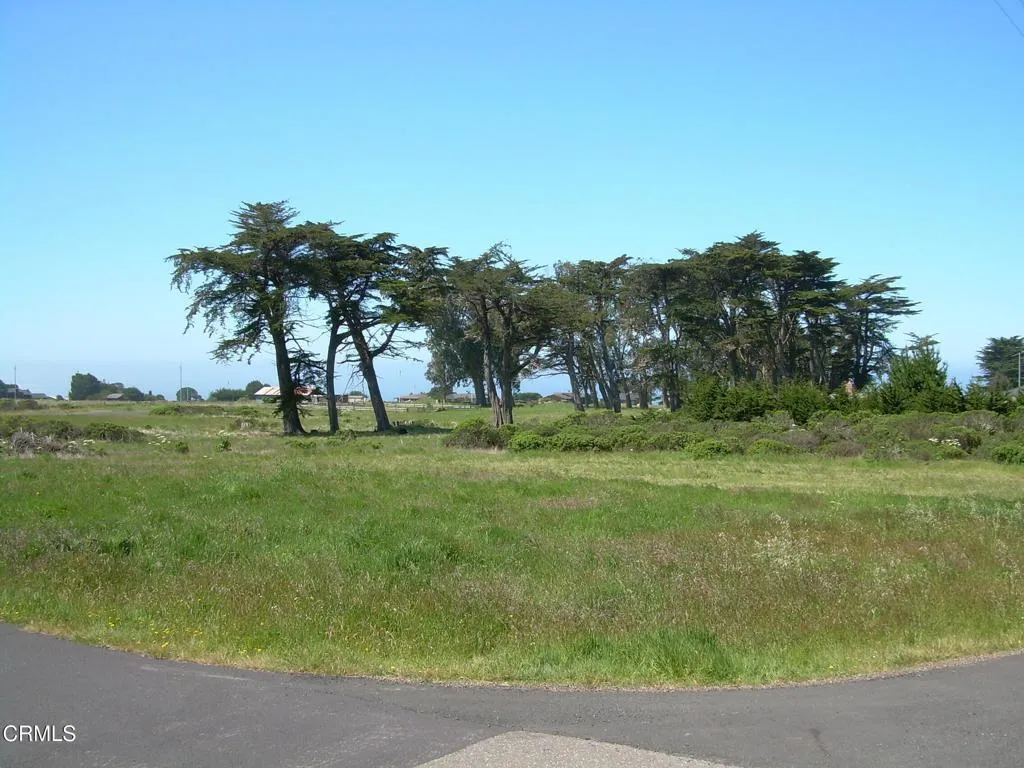 Lower Lot3