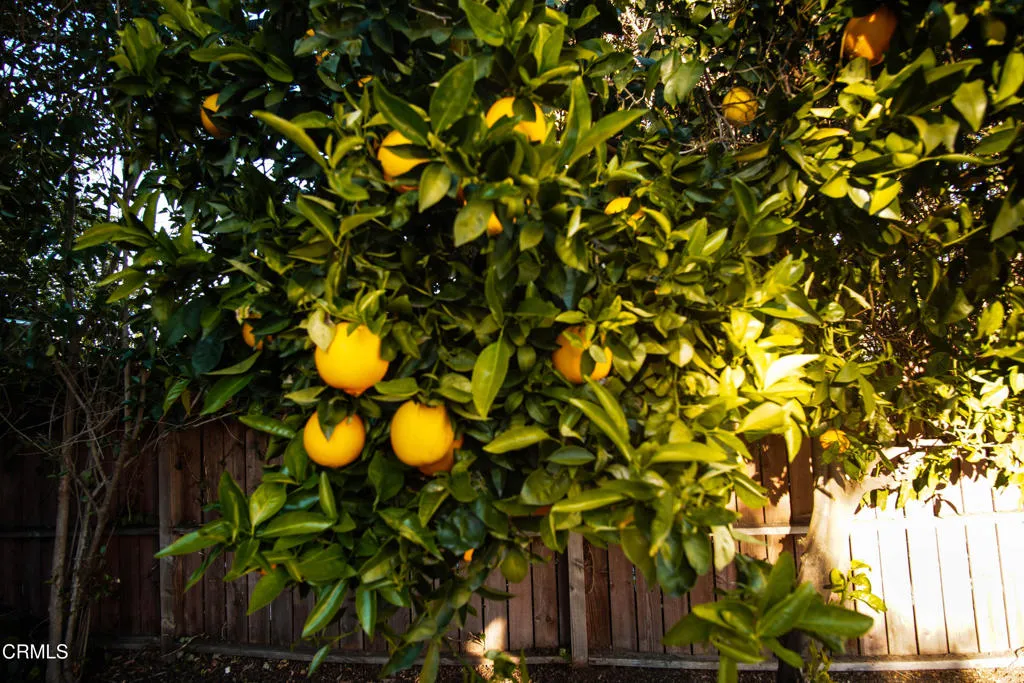 1781 El Monte Drive, Thousand Oaks, California 91362 home-pic-38